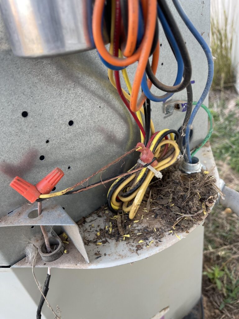 Mouse Chewed Air Conditioner Wires