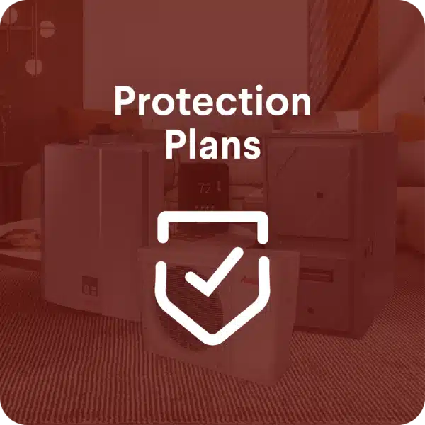 Protection Plans