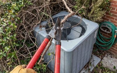 Why Yard Maintenance Matters More Than You Think for Your AC or Heat Pump